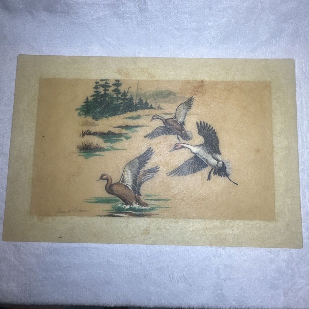 Vintage Fiberglass Wall Art By Grace B Gilmore Brown Duck